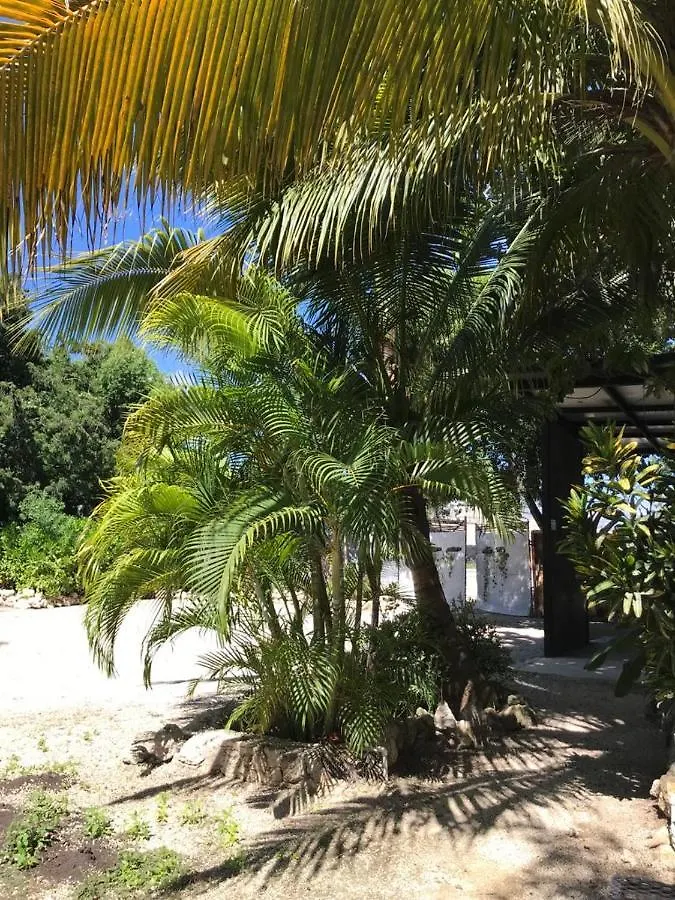 Szálloda Veleta Inn Tulum